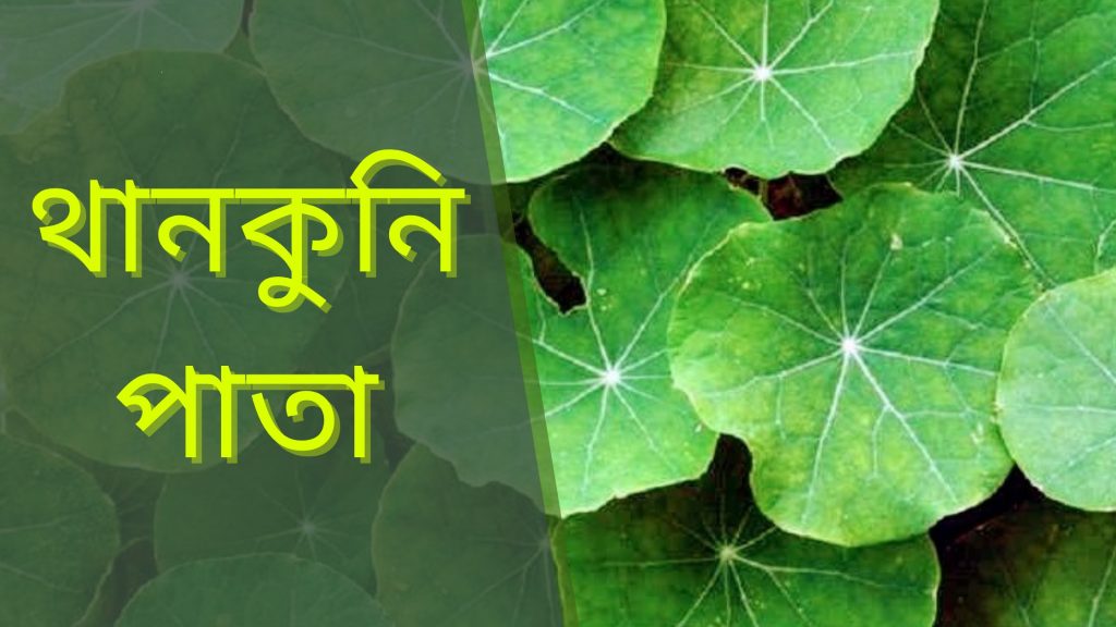 স্মৃতিশক্তি বৃদ্ধির উপায়