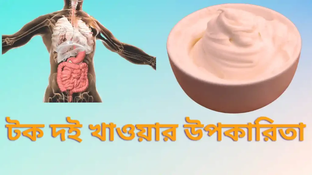 টক দই খাওয়ার উপকারিতা