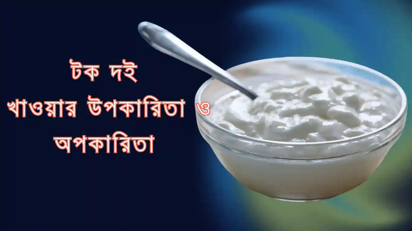 টক দই খাওয়ার উপকারিতা ও অপকারিতা