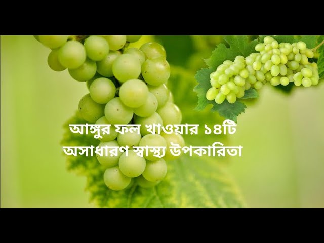 সবুজ আঙ্গুর খাওয়ার ১৪টি উপকারিতা - Green Grapes